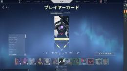 ベータ古参バナーあり　rgxバタフライセット