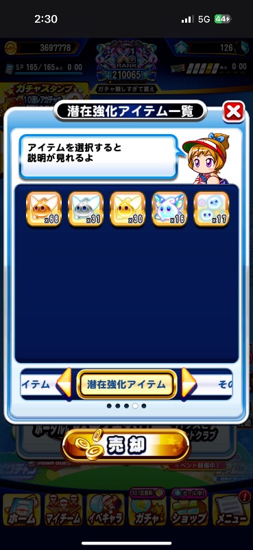 出品画像