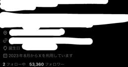 Xアカウント査定お願いします