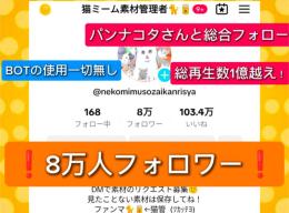 ❗BOT無し❗自力で増やした8.5万人アカウント😊