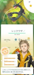 色違い背景xxlレックウザ