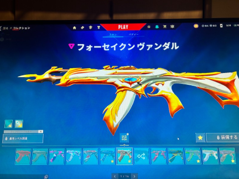 出品画像