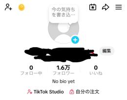 【フォロワー数1.6万人】ロブロックス配信･投稿アカウント