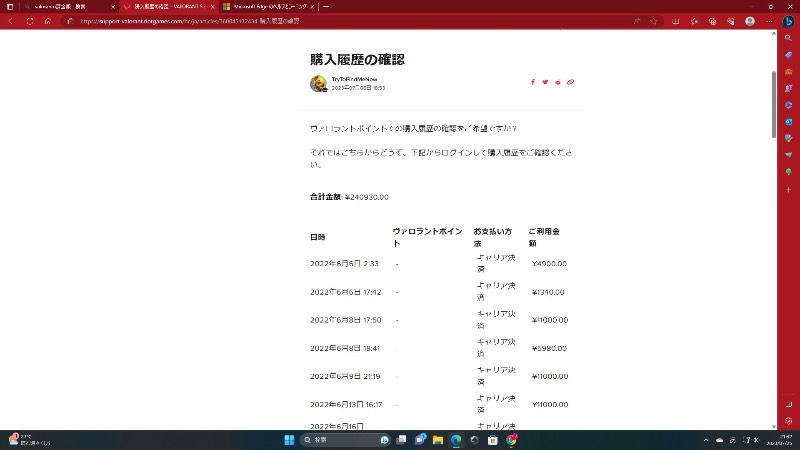 出品画像