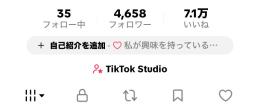 TikTok 垢査定　フォロワー4,658