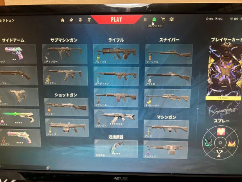 出品画像