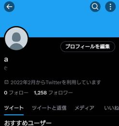 音ゲーマー垢