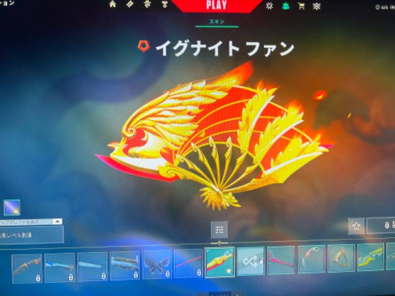 出品画像