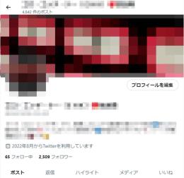 Twitter（X）アカ／アダアフィ専用／Twilia（ツイリア）付き／凍結・シャドバンなし