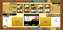 にゃんま本能解放 黒ダル黒キャス 大狂乱全開放