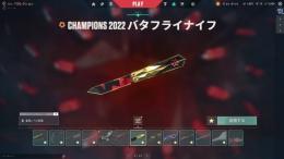 引退垢　スキン多数所持