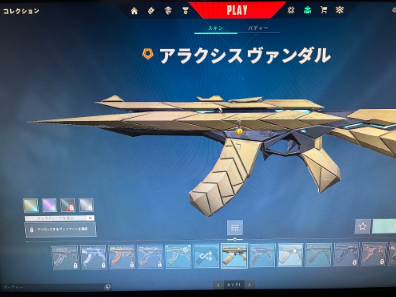出品画像
