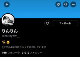 フォロワー2900人越えアカウント