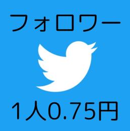 【1人につき0.75円】X（Twitter）フォロワーを6000人増やします