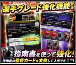 【強化代行】グレードMAX（G9）※1枚50円
