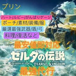 🔥最安即対応既存データ強化🔥ゼルダの伝説 ティアーズ オブ ザ