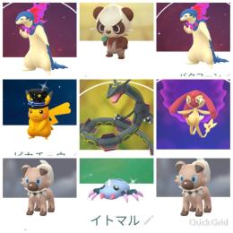 国内産色違いヤンチャム＆レックウザ 新年ハットピカチュウ♀エムリット他通常イワンコ(たそがれ)♂♀