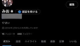 3連休限定価格！高アクティブ全リアル日本人440↑フォロワー 裏垢女子 シャドウバン無しold垢