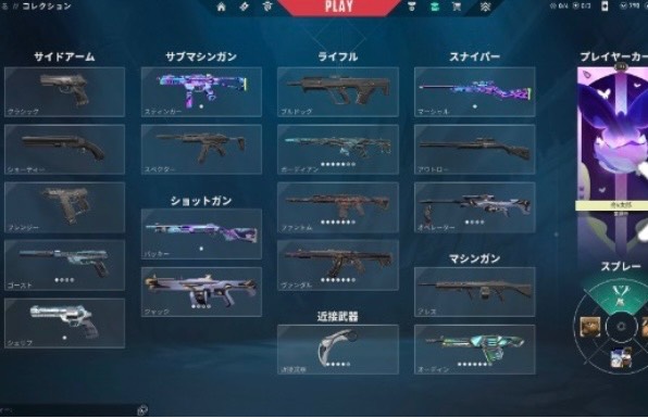 出品画像