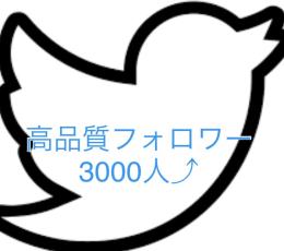 即お渡し！Twitterフォロワー3000⬆シャドウバン無し、減少保証付き