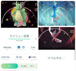 🔹 【たなおSHOP】色違いカイリューSP背景4,200円✨イベルタル／ゼルネアス3,500円～