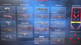 フェーズガードセット RGXヴァンダル垢