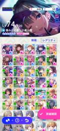 引退アカウント　星5以上30体　星6以上5体
