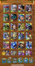 ソロ4凸、ハドラー完凸可、竜魔神バラン完凸、少年テリー、妖魔ジュリ^_^