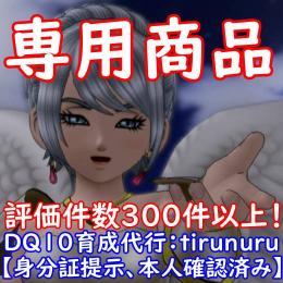 専用 アイテム収集