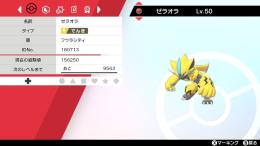 ゼラオラ 親フウラシティ【即購入OK】