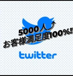 【業界最高品質】フォロワー5,000人⤴︎アカウント シャドウバン無し
