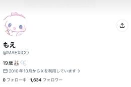 ⭐️高インプ【フォロワー1600人超え】x裏アカ女子アカ【副業 夜職 収益化 シャドウバン無 】