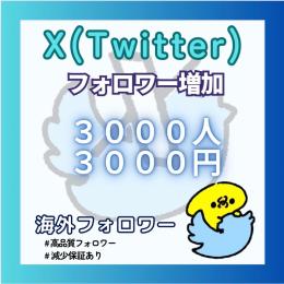 𝕏（Twitter）の多国籍フォロワー＋3000人増やします！【減少保証付】
