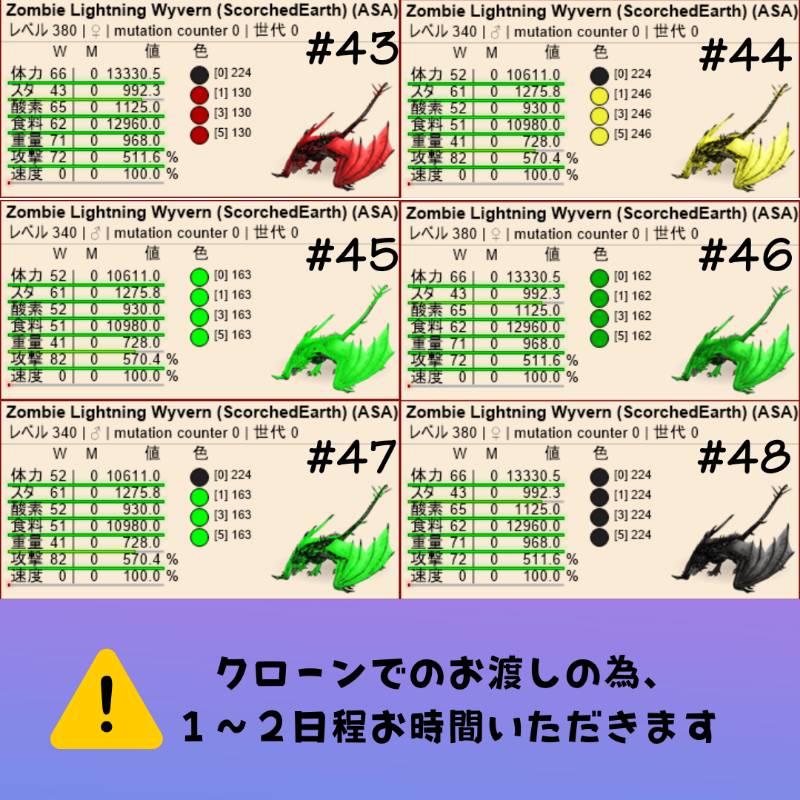 出品画像