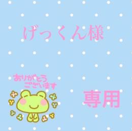 げっくん様専用