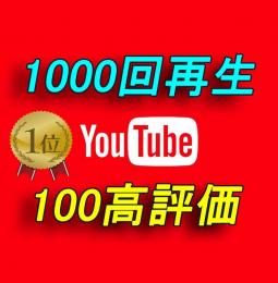 YouTube 再生回数1000回 ＋100高評価【30日間の減少保証付】