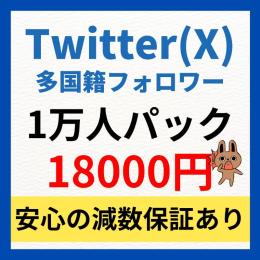 【1万人パック】Twitter多国籍フォロワー1万人増加　振り分け可能