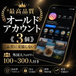 最高品質オールドアカウント《3個》【品質に妥協しない】外国人フォロワー100〜300人付き