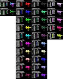 🟧RARE SUPPORT🆕クライオロフォサウルス 8/5🆙