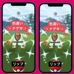 色違いナゲキ1匹アカウント販売 