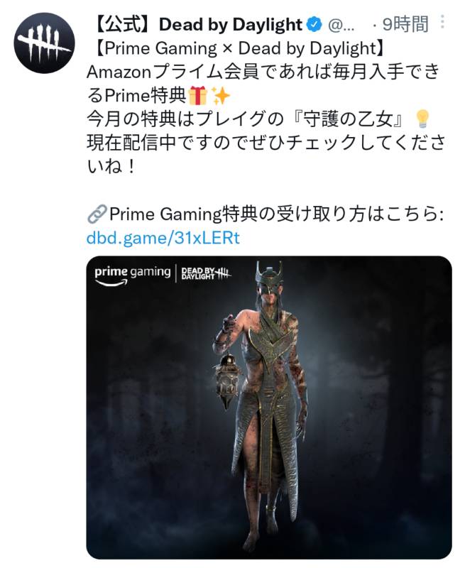 全機種対応交換コード 守護の乙女 プレイグ 期間限定 レアスキン Dbd ゲームクラブ