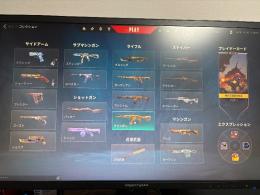 引退垢 スキン多数 10万課金