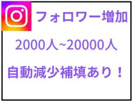 【最高品質】2万フォロワー:3000円
