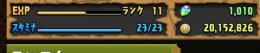 序盤アカウント