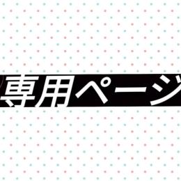 ピカピカ大好き様　専用　2023/09/28　