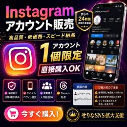 Instagram 2fa済み　1個セット
