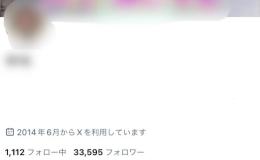 【影響力大🔥】全リアルフォロワー 33,500↑ 風俗嬢アカウント 【減少保証付き🔥】