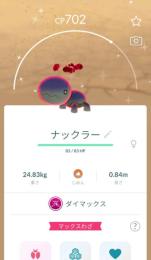 あかはんくすさま専用