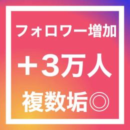 フォロワー増加3万人〈安心365日間保証〉〈複数垢◎〉〈お振り分け垢数上限なし〉