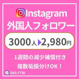 ＼振分けもOK／多国籍外国人フォロワー3000人増加